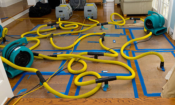 Professional Basement Flood Cleanup technician working in Fallbrook, CA